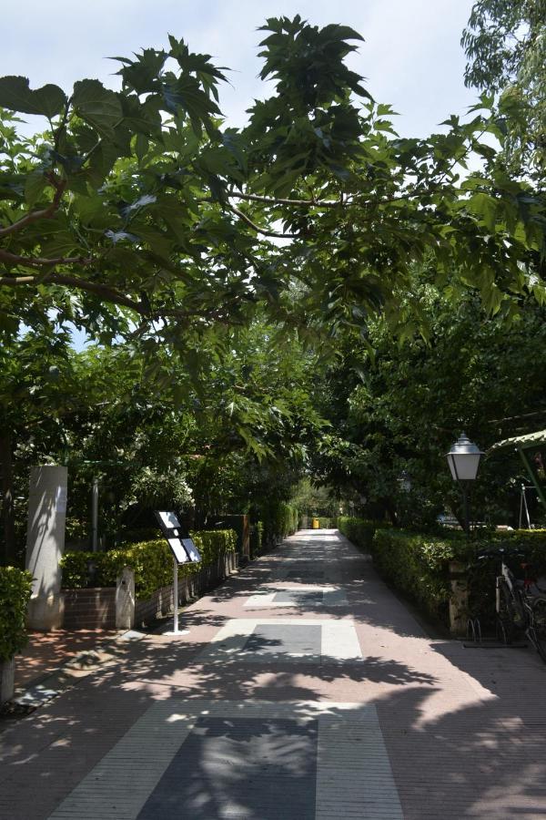 Hotel Riomar Sant Marti d'Empuries Ngoại thất bức ảnh