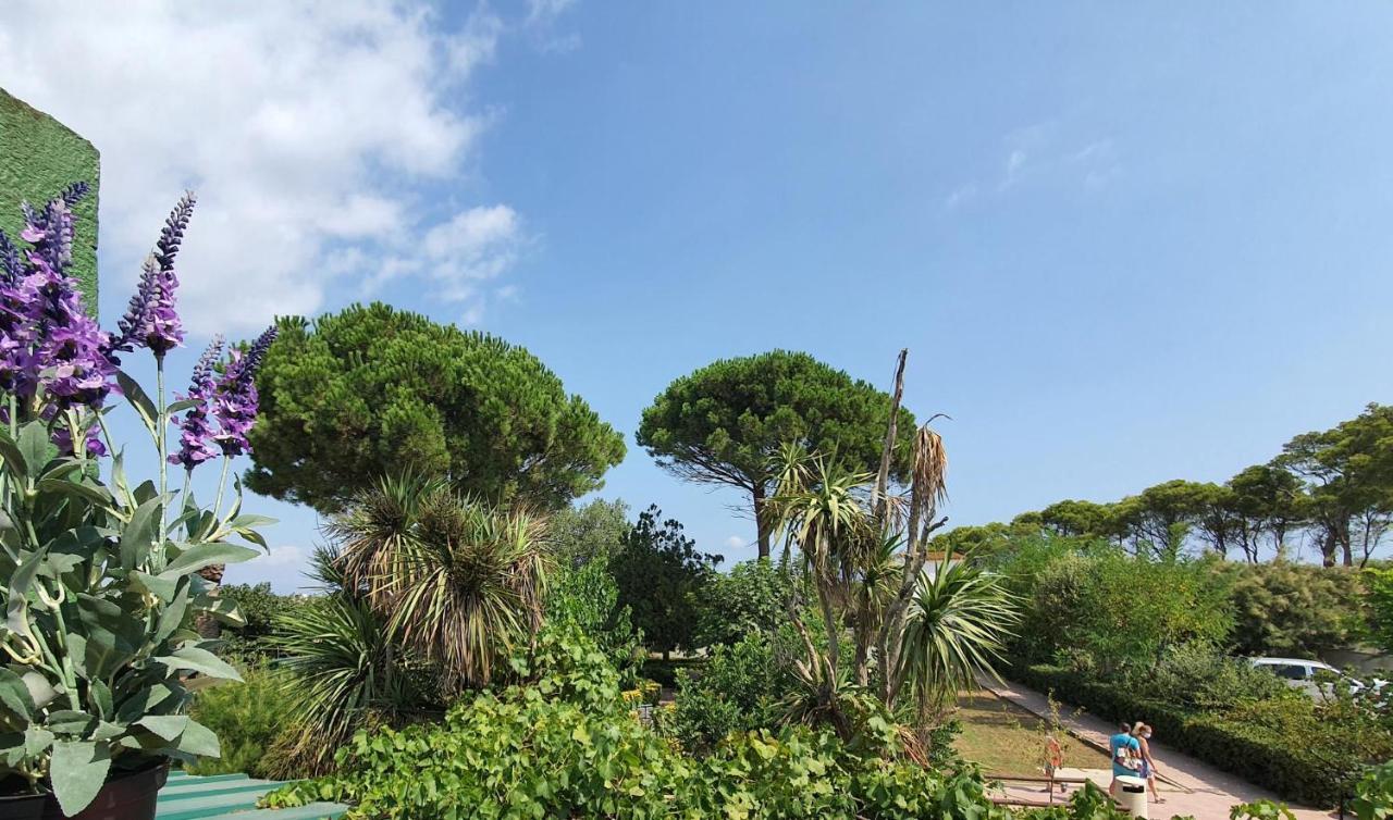 Hotel Riomar Sant Marti d'Empuries Ngoại thất bức ảnh